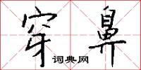 穿鼻怎么写好看