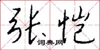 张恺怎么写好看
