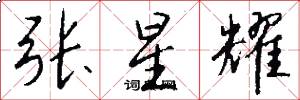张星耀怎么写好看