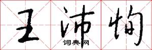 王沛恂怎么写好看