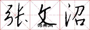 张文沼怎么写好看