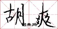 胡爽怎么写好看