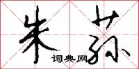 朱荪怎么写好看