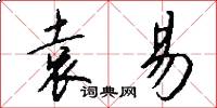 袁易怎么写好看