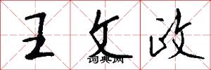 王文政怎么写好看