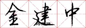 金建中怎么写好看