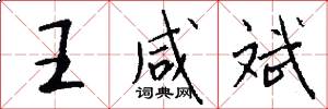 王咸斌怎么写好看
