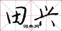 田兴怎么写好看