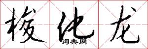 梭化龙怎么写好看