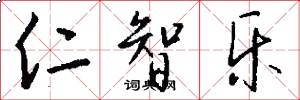 仁智乐怎么写好看
