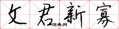 文君新寡怎么写好看