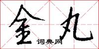 金丸怎么写好看