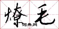 燎毛怎么写好看