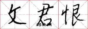 文君恨怎么写好看