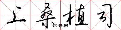 上桑植司怎么写好看