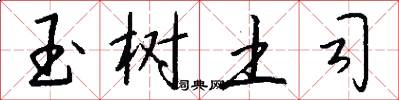 玉树土司怎么写好看