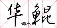 华鲲怎么写好看