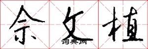 佘文植怎么写好看
