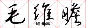 毛维瞻怎么写好看
