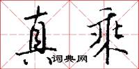真乘怎么写好看