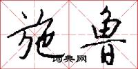施鲁怎么写好看