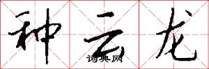 种云龙怎么写好看