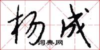 杨成怎么写好看