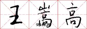 王嵩高怎么写好看