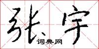 张宇怎么写好看