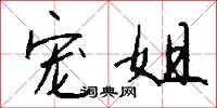 宠姐怎么写好看