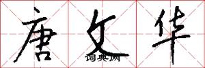 唐文华怎么写好看