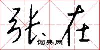 张在怎么写好看