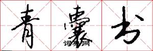 青囊书怎么写好看