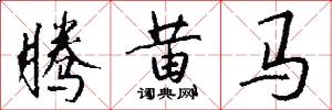腾黄马怎么写好看