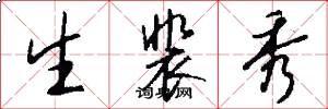 生裴秀怎么写好看