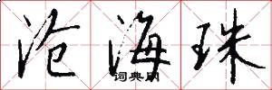 沧海珠怎么写好看