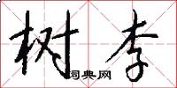 树李怎么写好看