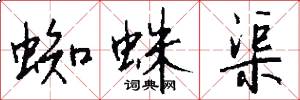 蜘蛛渠怎么写好看