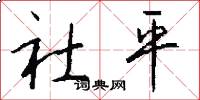 社平怎么写好看