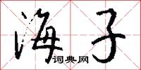 海子怎么写好看