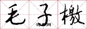 毛子檄怎么写好看