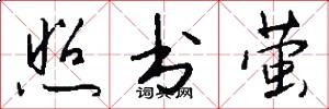 照书萤怎么写好看