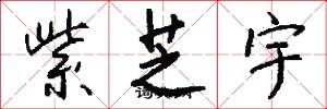 紫芝宇怎么写好看