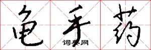 龟手药怎么写好看