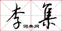李集怎么写好看