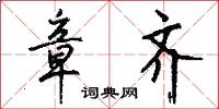 章齐怎么写好看
