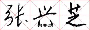 张兴芝怎么写好看
