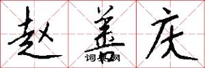 赵善庆怎么写好看