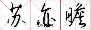 苏亦瞻怎么写好看