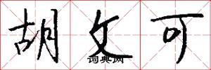 胡文可怎么写好看